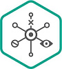 Kaspersky Endpoint Detection and Response для бизнеса Оптимальный (продление лицензии), на 2 года. Количество узлов